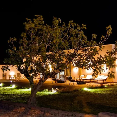 酒店 Quinta D'anta- Rural 麦奥尔卡